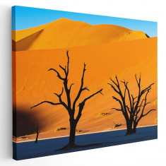 Tablou peisaj copaci in desert Tablou canvas pe panza CU RAMA 80x120 cm