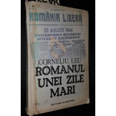 ROMANUL UNEI ZILE MARI