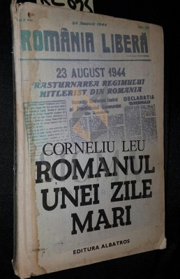 ROMANUL UNEI ZILE MARI foto