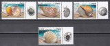 Angola 2018 - Moluște marine din Angola, Serie cu Tapsuri, MNH