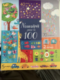 NOUA - NUMARA PANA LA 100! de FELICITY BROOKS