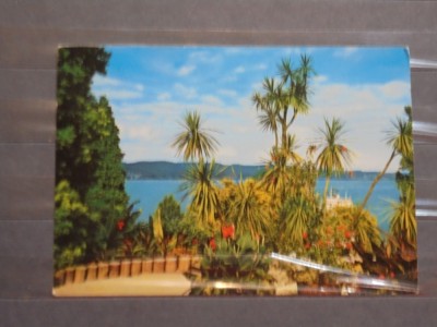 ED. KRUGER - GERMANIA - TROPENINSEL MAINAU IM BODENSEE - CIRCULATA, TIMBRATA - foto