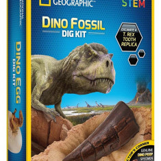 Kit educativ - Sa cautam dinozauri | Blue Marble