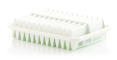 MANN-FILTER C 24 005 Filtru aer foto