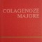 COLAGENOZE MAJORE-AURELIAN GEAVLETE-265488