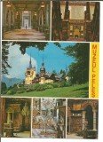 #carte postala-BRASOV- Muzeul Peles, Necirculata, Printata