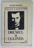 DRUMUL SI OGLINDA , MOTIVE LIRICE IN POEZIA LUI BLAGA de PETRE NICOLAU , 1999 , SUBLINIATA , PREZINTA URME DE UZURA