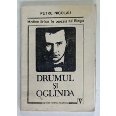 DRUMUL SI OGLINDA , MOTIVE LIRICE IN POEZIA LUI BLAGA de PETRE NICOLAU , 1999 , SUBLINIATA , PREZINTA URME DE UZURA
