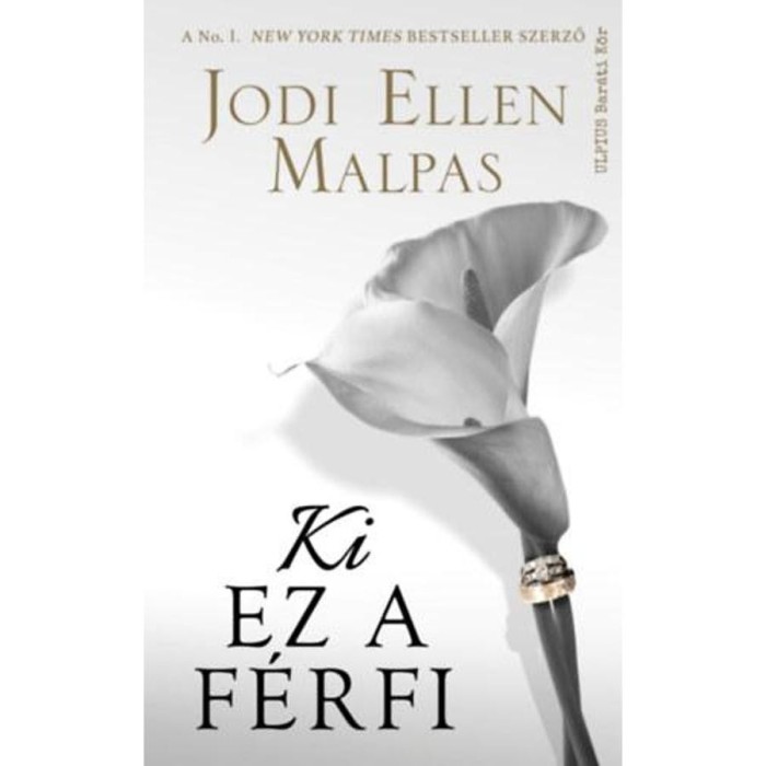 Ki ez a f&eacute;rfi? - Jodi Ellen Malpas