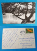 Carte Postala veche circulata anul 1965, Cimpina - cu barca pe lac, Sinaia, Printata