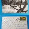 Carte Postala veche circulata anul 1965, Cimpina - cu barca pe lac