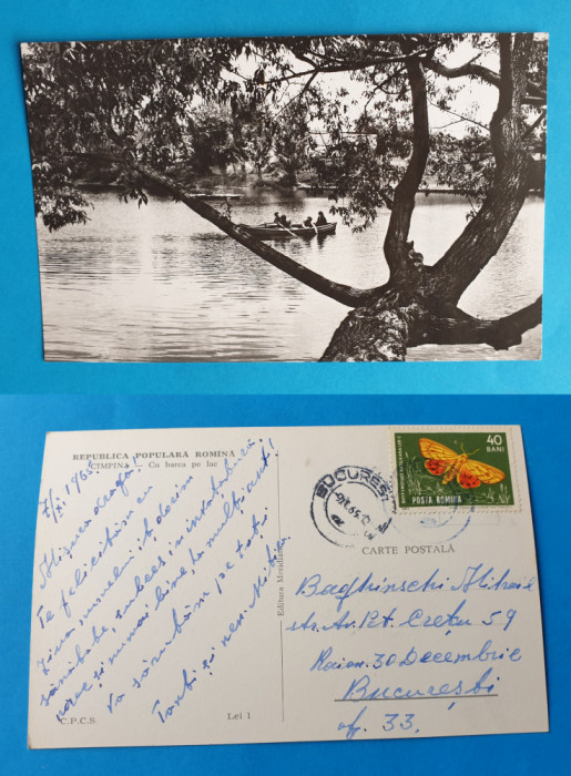Carte Postala veche circulata anul 1965, Cimpina - cu barca pe lac