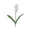 Floare decorativa artificiala, Crizantema, Alb, 53 cm, ATU-084038