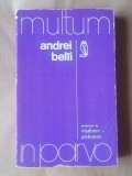 Andrei Bel&icirc;i - prezentat de Vladimir Piskunov (Multum in parvo)