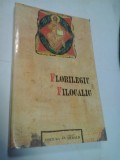 FLORILEGIU FILOCALIC - IGNATIE MONAHUL