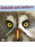 Adriana Irimia (ed.) - Animalele sunt uimitoare (editia 2011)