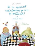 De ce zboară vrăjitoarele pe cozi de mătură?... și alte 10 &icirc;ntrebări fantastice, Arthur