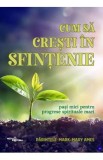 Cum sa cresti in sfintenie - Parintele Mark-Mary Ames
