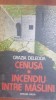 Cenusa. Incendiu intre maslini - Grazia Deledda, Dacia, 1987, Roman