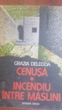 Cenusa. Incendiu intre maslini - Grazia Deledda