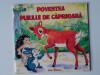Povestea puiului de caprioara - Florentina Chifu (5+1)5