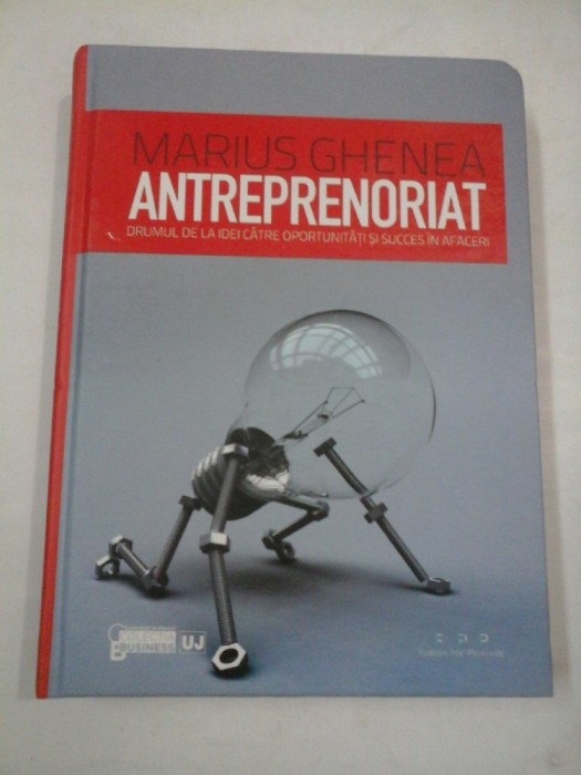 Antreprenoriat - Marius Ghenea