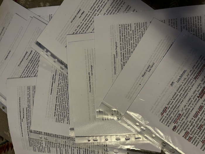 eseuri bac rom&acirc;nă