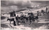 Carte postala necirculata din perioada interbelica