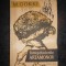 M. GORKI - INTREPRINDERILE ARTAMONOV
