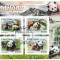 S. TOME E PRINCIPE 2016 - Fauna Ursi Panda / set complet - colita+bloc