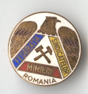 Insigna veche Federatia Sindicatelor Miniere din Romania foto