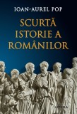 Cumpara ieftin Scurta istorie a romanilor. Editia a 3-a, revizuita