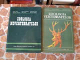 ZOOLOGIA NEVERTEBRATELOR - Matic, Nastasescu Zoologia vertebratelor