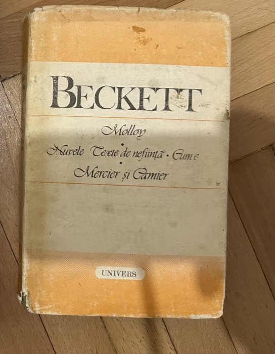 Molloy * Nuvele: Texte de neființă * Cum e * Mercier și Camier - BECKETT