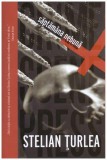 Saptamana nebuna - Stelian Turlea - Editura Crime Scene Press