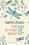 Cumpara ieftin Caiet de ricosat ganduri sau despre misterioasa circulatie a ideilor de-a lungul timpului/Gabriel Liiceanu, Humanitas