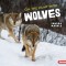 On the Hunt with Wolves