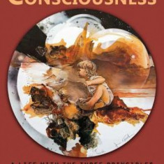Seduced by Consciousness: A Life with the Three Principles