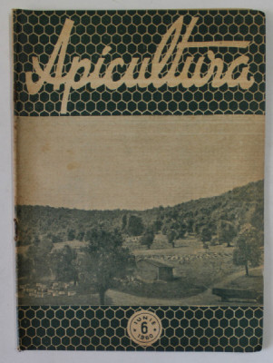 APICULTURA , REVISTA LUNARA DE STIINTA SI PRACTICA APICOLA .., ANUL XXXIII , NR. 6 , IUNIE , 1960 foto