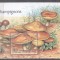 Togo 2000 Mushrooms perf. sheet MNH S.583