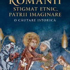 Romanii: stigmat etnic, patrii imaginare. O cautare istorica - Ovidiu Pecican