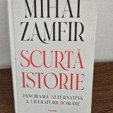 Scurta istorie. Panorama Alternativa a Literaturii Romane - Mihai Zamfir