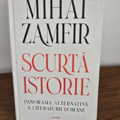 Scurta istorie. Panorama Alternativa a Literaturii Romane - Mihai Zamfir foto