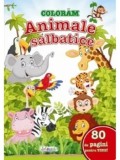 Cumpara ieftin Coloram animale salbatice. 80 de pagini pentru tine!/***