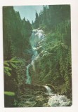 RF107 - Carte Postala - Cascada Cailor din Borsa, necirculata