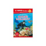 DK Super Readers Level 1 a Day in the Life of a Marine Biologist