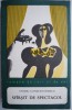 Sfarsit de spectacol &ndash; Ovidiu Constantinescu - Roman, Carte beletristica