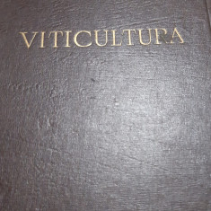 VITICULTURA T MARTIN 1960