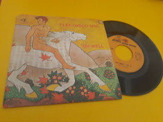 VINIL FLEETWOOD MAC-OH WELL DISC REPRISE STARE EX 1970 foto