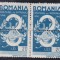 ROMANIA 1943 CONSILIUL DE PATRONAJ,AJUTORUL DE IARNA 20 LEI IN PERECHE,MNH
